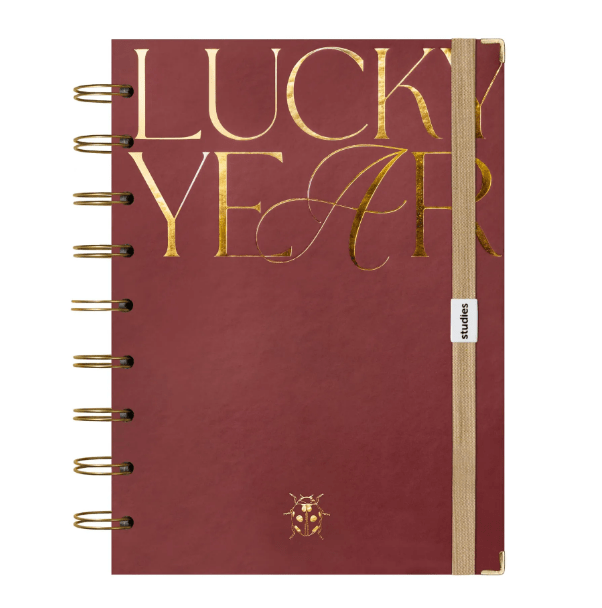 Planner Joaninha Lucky Year Studies Ideal Lar