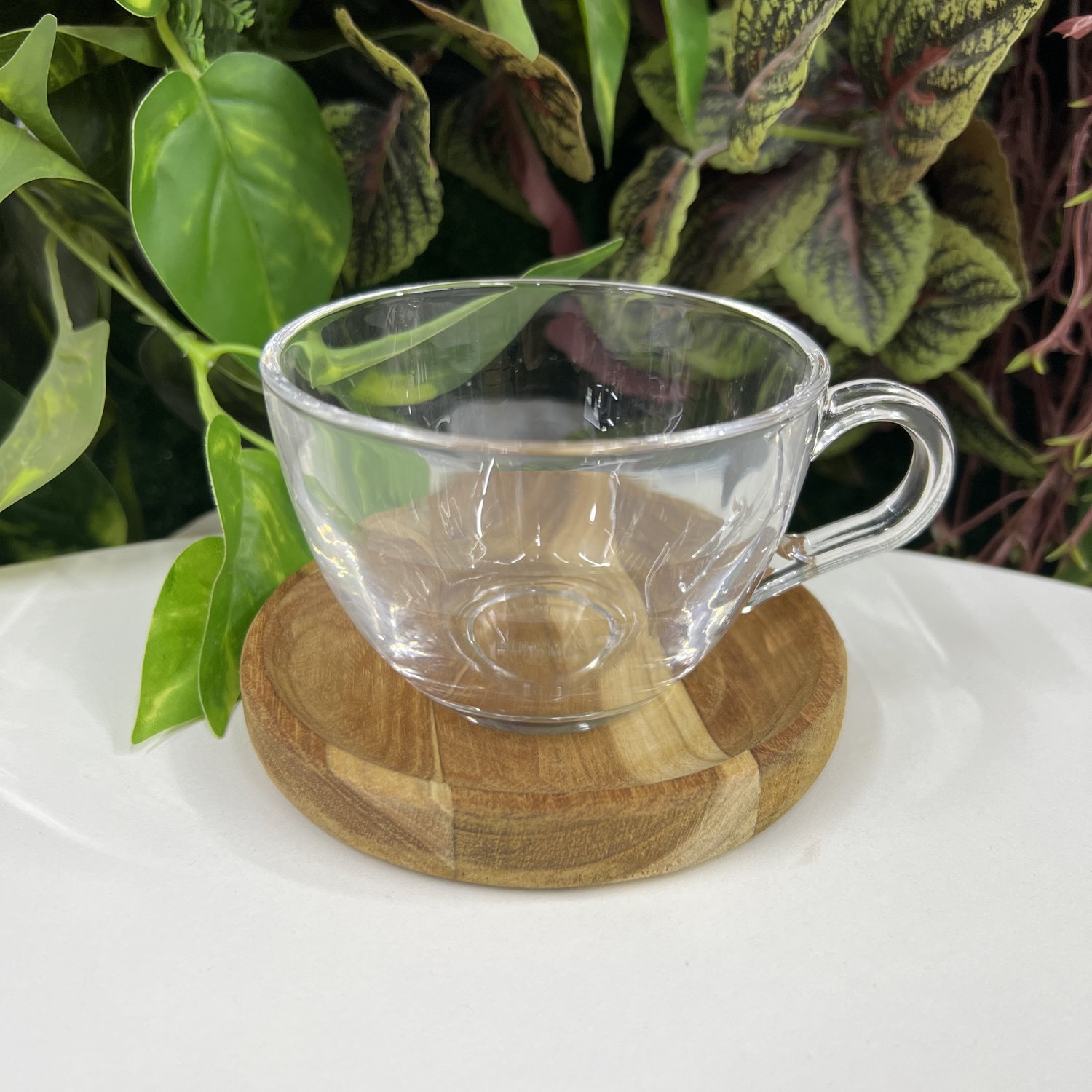 Conjunto de Chá de madeira Cozinha Tea Ware Bule Xícara de Chá